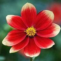 Profile picture of MNQ